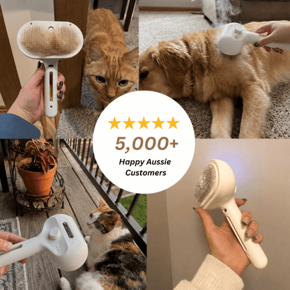 Swipe&Shed™ FurGlow Steam Grooming Brush