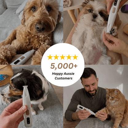 Swipe&Shed Pro Care Trimmer — 5000+ happy Aussie customers trimming dogs and cats at home with 5-star reviews