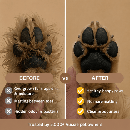 Swipe&Shed Pro Care Trimmer — before and after dog paw trimming, clean healthy paws with no matting or odour